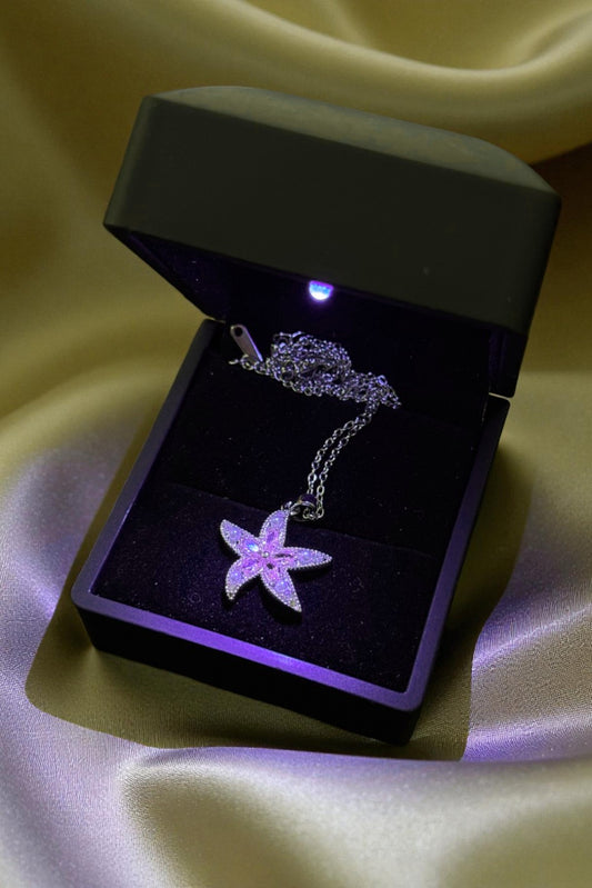 Işıklı Kutulu Parlak Çelik Pembe Yıldız Figürlü Kolye – Zarif ve Romantik Tasarım | Sevgiliye Özel (Silver)